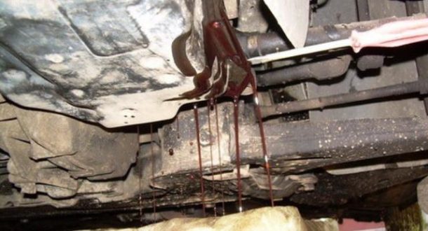 поддон